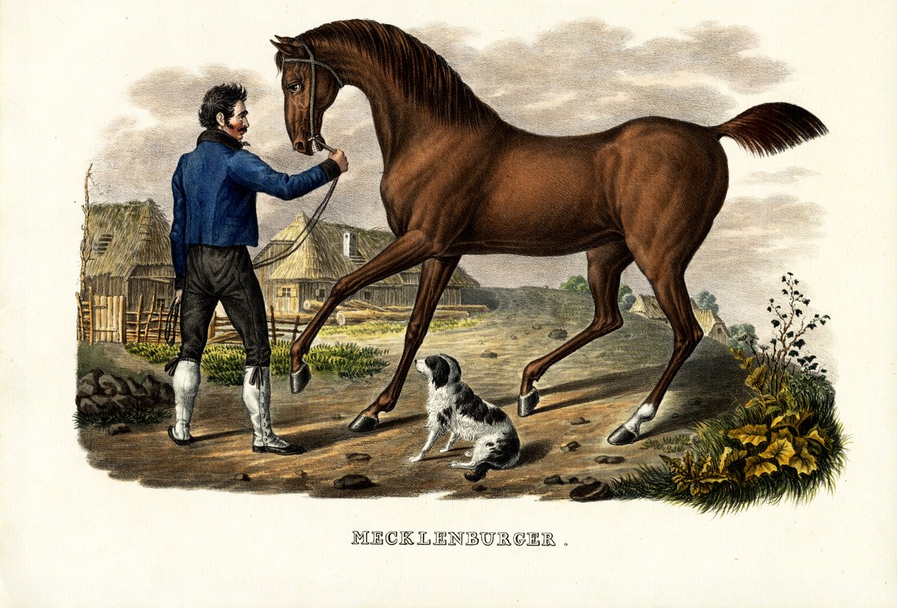 メクレンブルガー馬、1824年 作： Karl Joseph Brodtmann