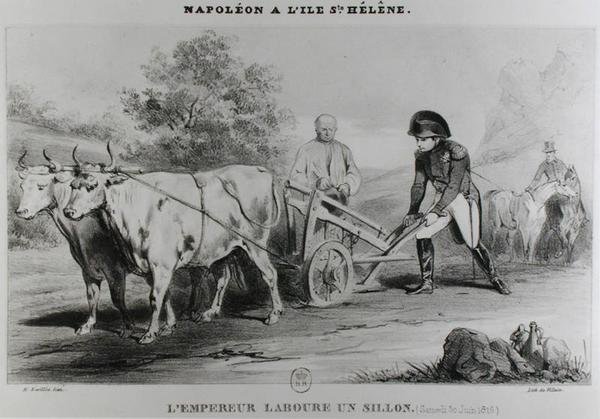 セントヘレナのナポレオン（1769-1821）、フランソワルヴィラン（fl.1819-22）によって彫刻 作： ローイロット・ハートウィグ後のカール
