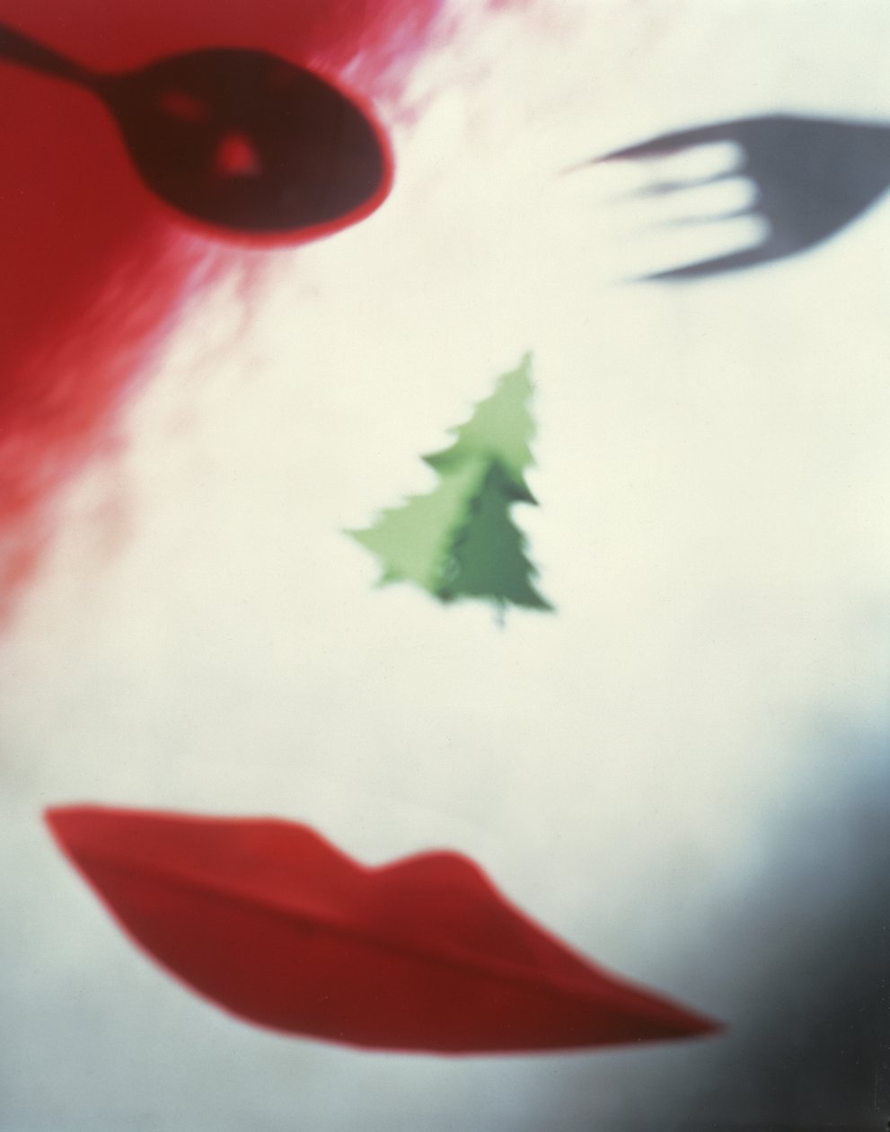 クリスマスフェイス、1995 作： キャサリン・フォーセット
