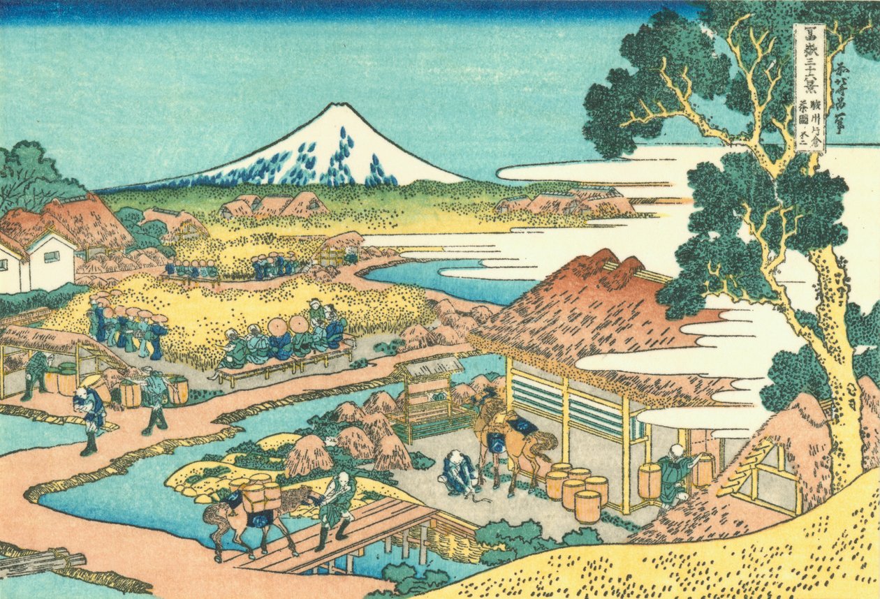 駿河省片倉の茶畑から見た富士 作： 北斎勝鹿