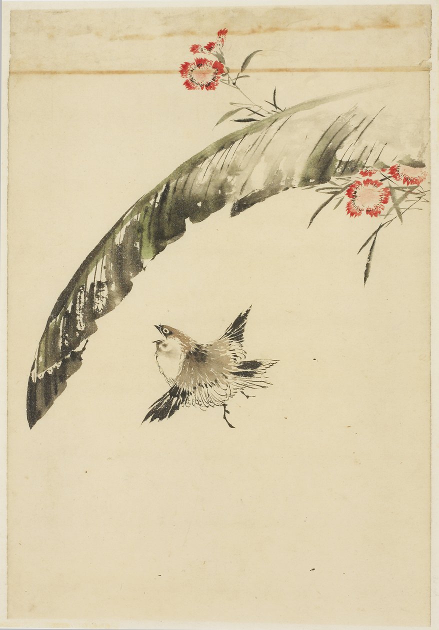 スズメとバナナの葉とピンク、1615-1868（紙にインクと色） 作： 葛飾北斎