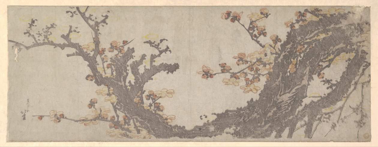 花咲く古木 作： 北斎勝鹿