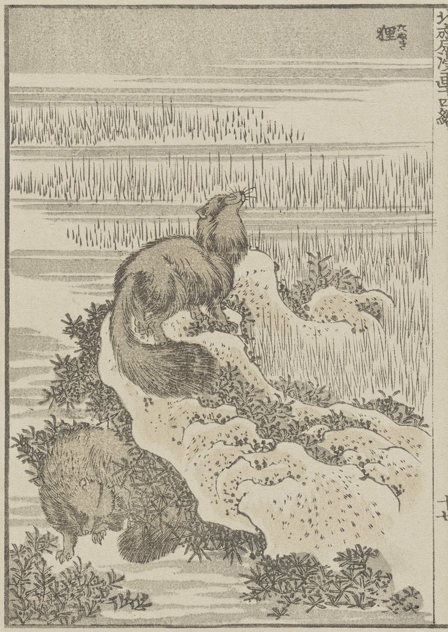 アナグマ、c。 1840（木版画） 作： 北斎勝鹿