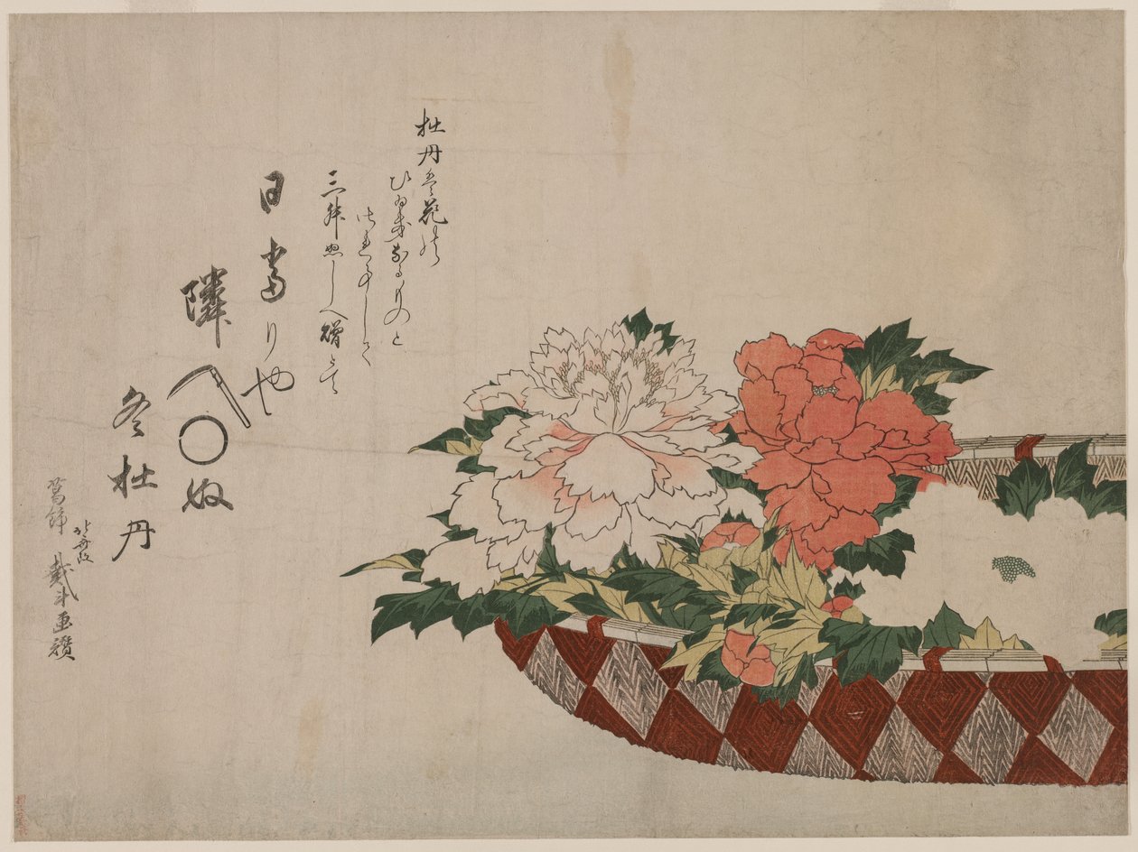 牡丹のかご 作： 北斎勝鹿