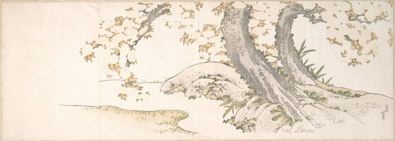 小川沿いの桜の花 作： 北斎勝鹿