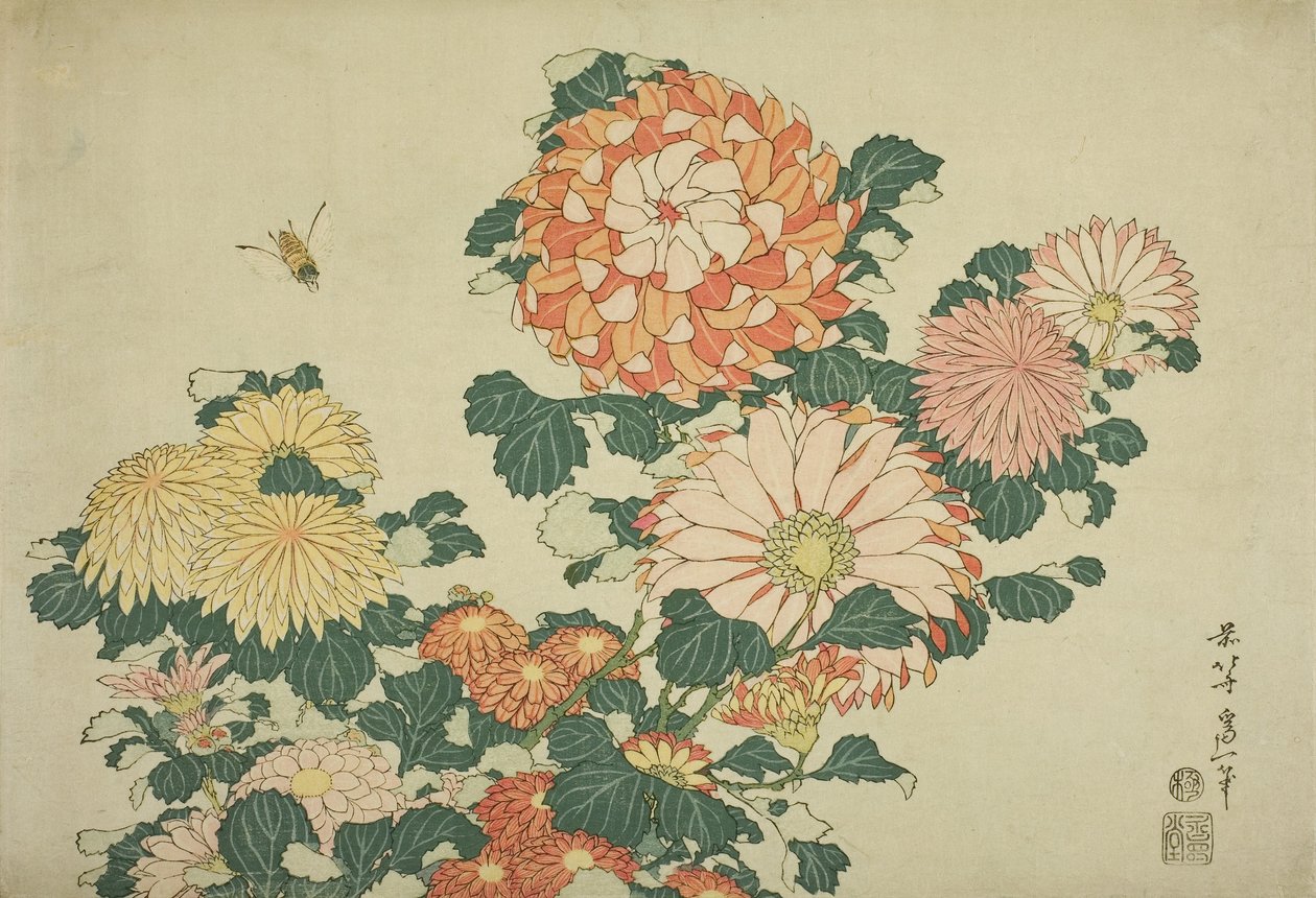 大きな花の無題のシリーズからの菊と蜂、1833-34年頃 作： 北斎勝鹿