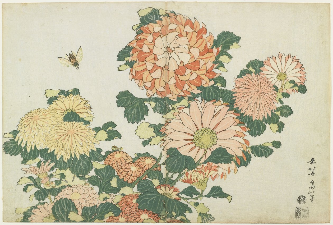 菊とアブ、c。 1832 作： 北斎勝鹿
