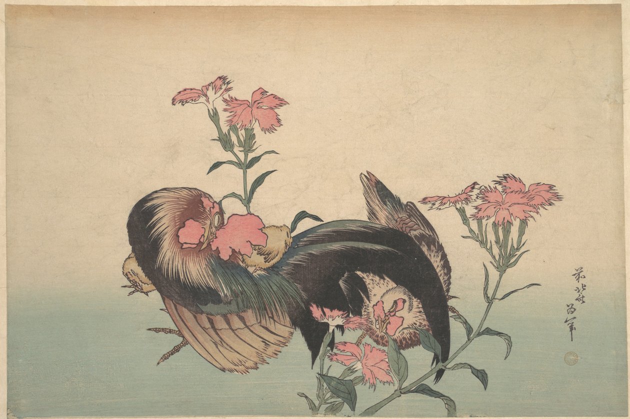 雄鶏、雌鶏、そしてナデシコ（Dianthus Superbus） 作： 北斎勝鹿