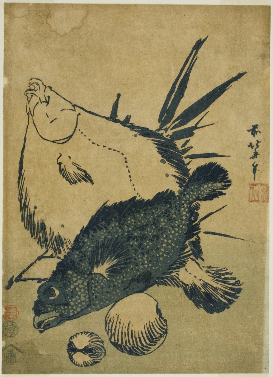 無題の中盤版画シリーズより カレイ、カサゴ、貝殻 作： 北斎勝鹿