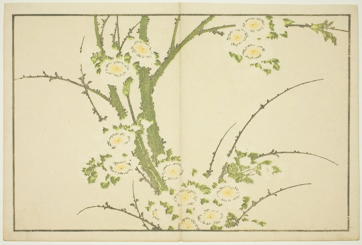 花、北斎写実画図鑑（北斎写真画譜） 作： 北斎勝鹿