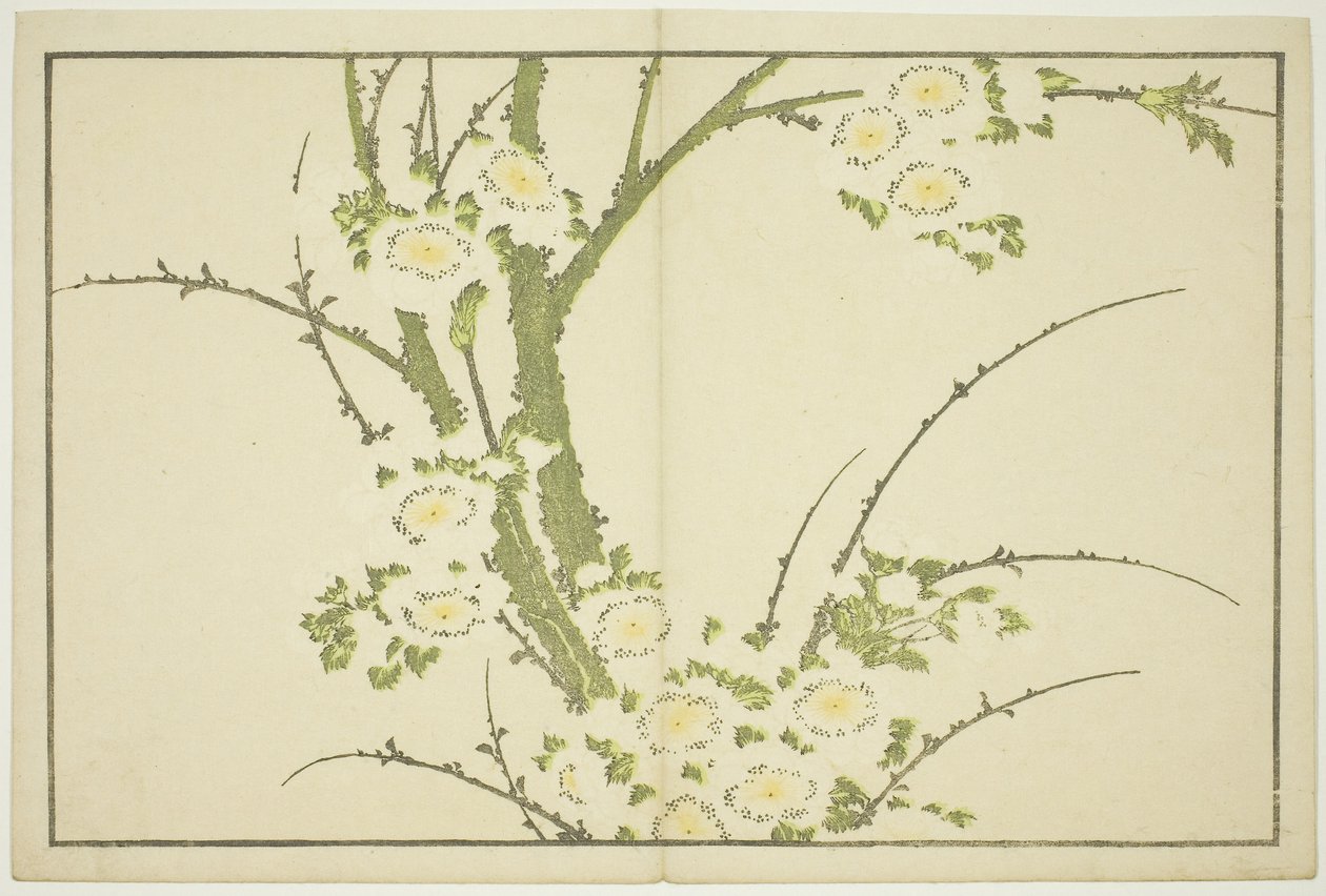 北斎写実画譜』より「花」 1814年頃（カラー木版画（アルバムシート 作： 北斎勝鹿