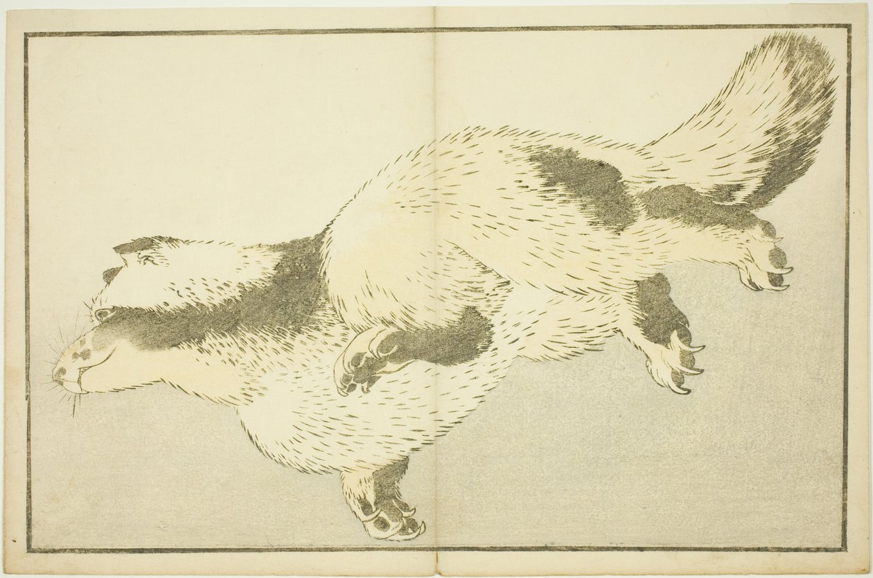 北斎写生図鑑 狐 作： 北斎勝鹿