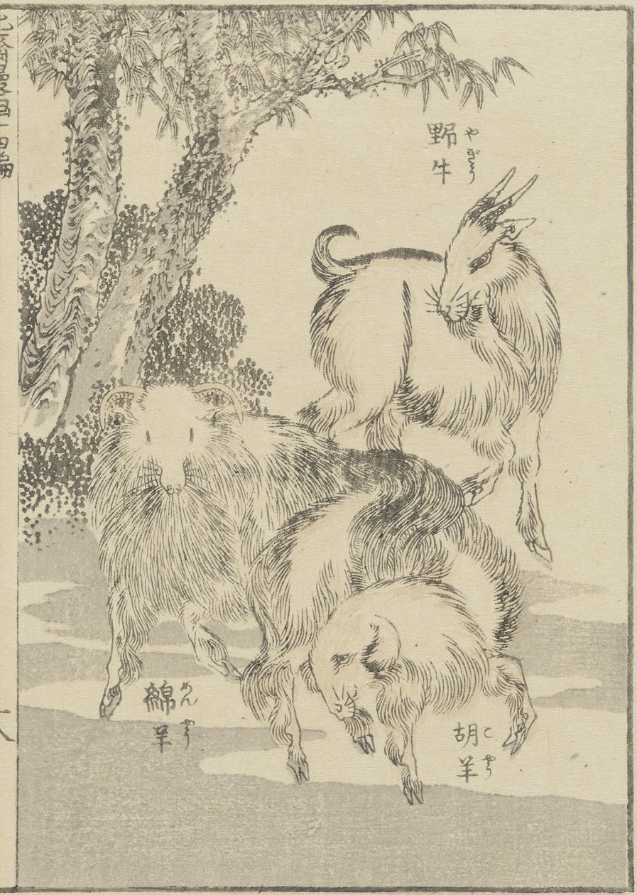 山羊、c。 1840（木版画） 作： 北斎勝鹿