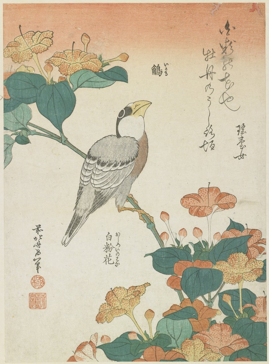日本のグロビークとフォーオクロク、c。 1833 作： 北斎勝鹿