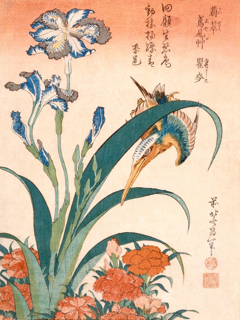 カワセミ、アイリスとピンク、c1834 を公開しました。 作： 北斎勝鹿