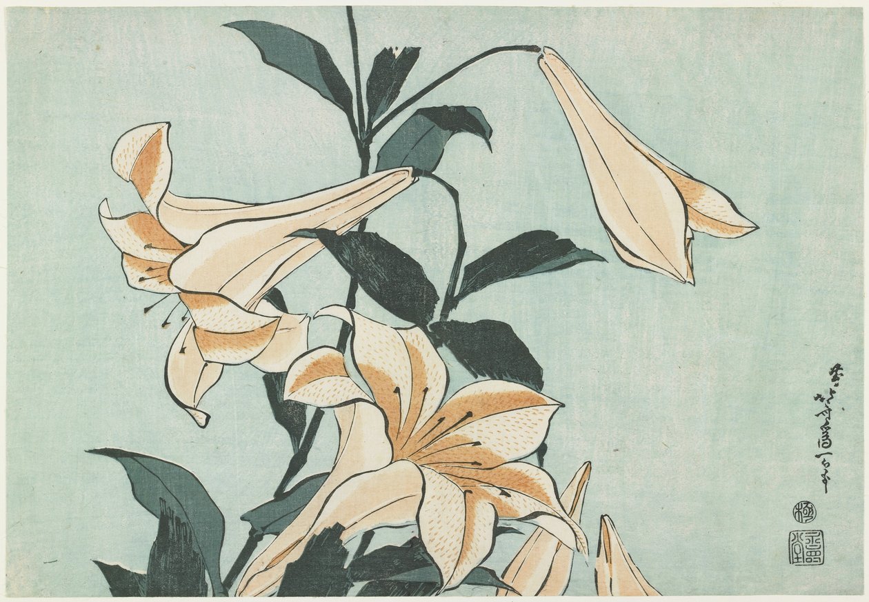 ユリ、c。 1832 作： 北斎勝鹿