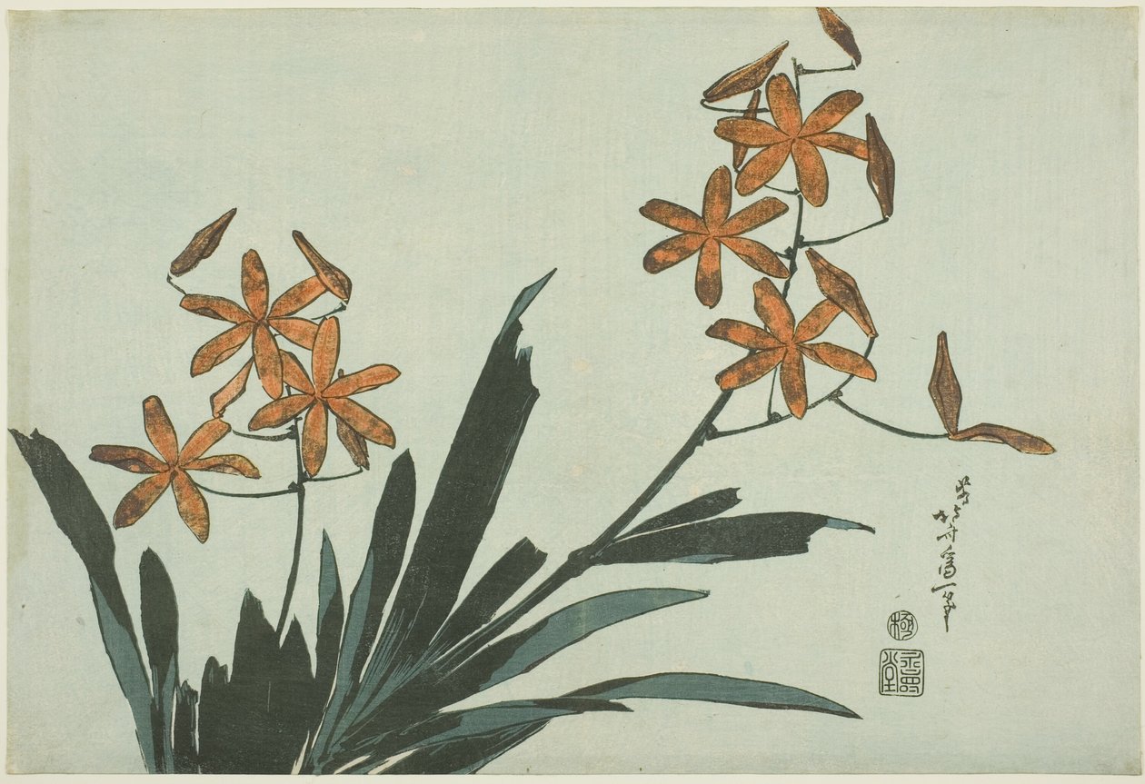 無題の花のシリーズからのオレンジ色の蘭 作： 北斎勝鹿