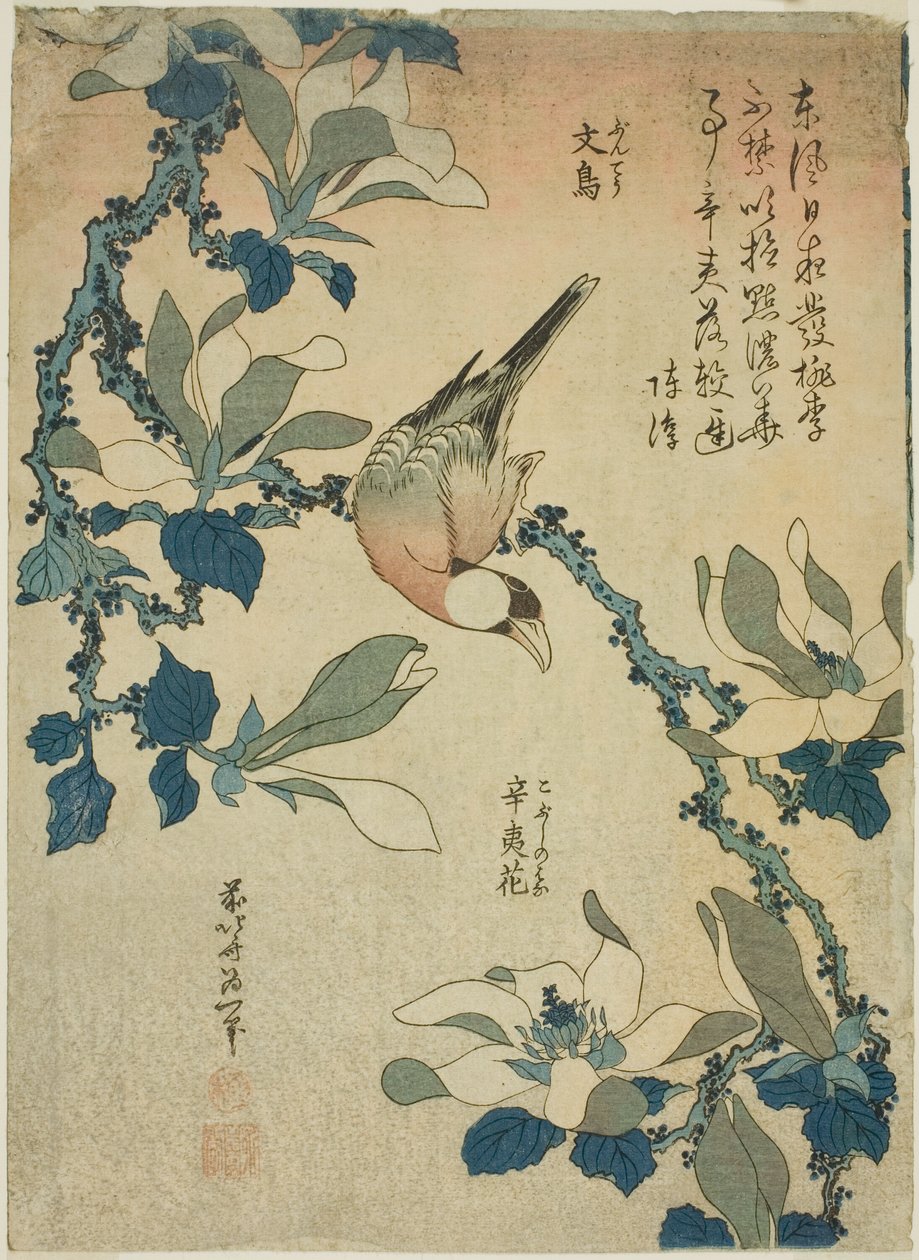 無題の花鳥シリーズより文鳥・こぶしの花 作： 北斎勝鹿