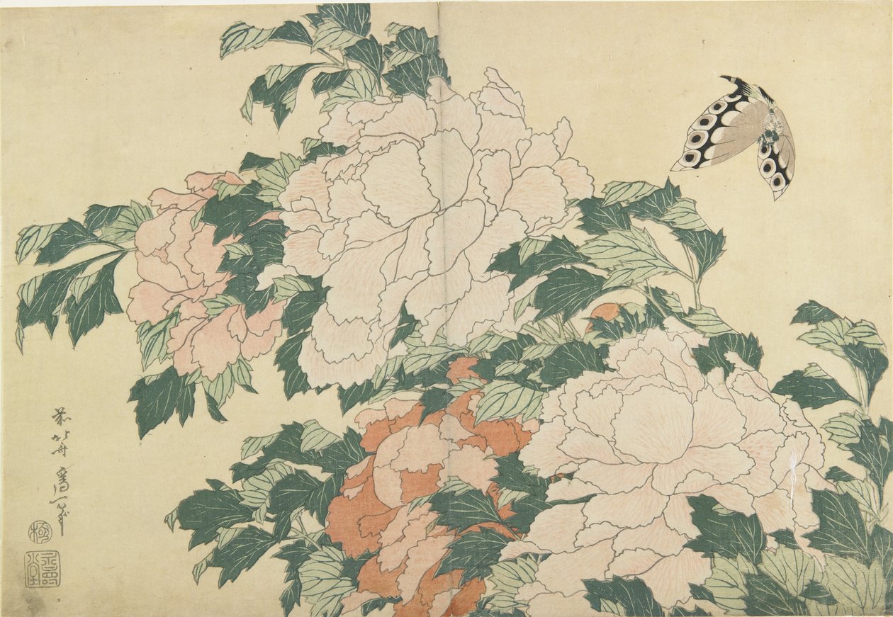 牡丹と蝶、c。 1830-1831 | 北斎勝鹿