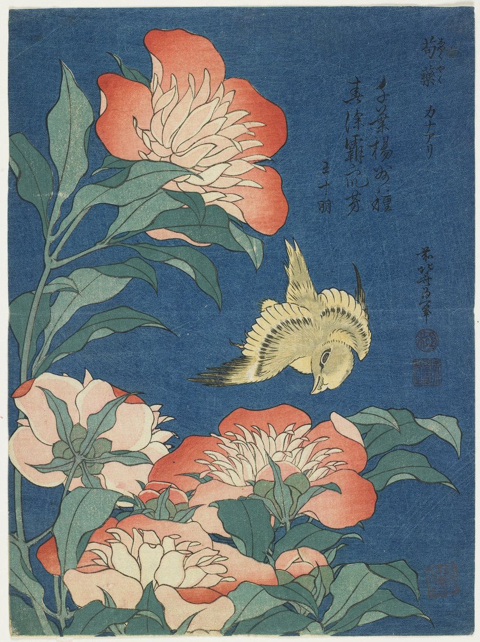牡丹とカナリア、c。 1833 作： 北斎勝鹿