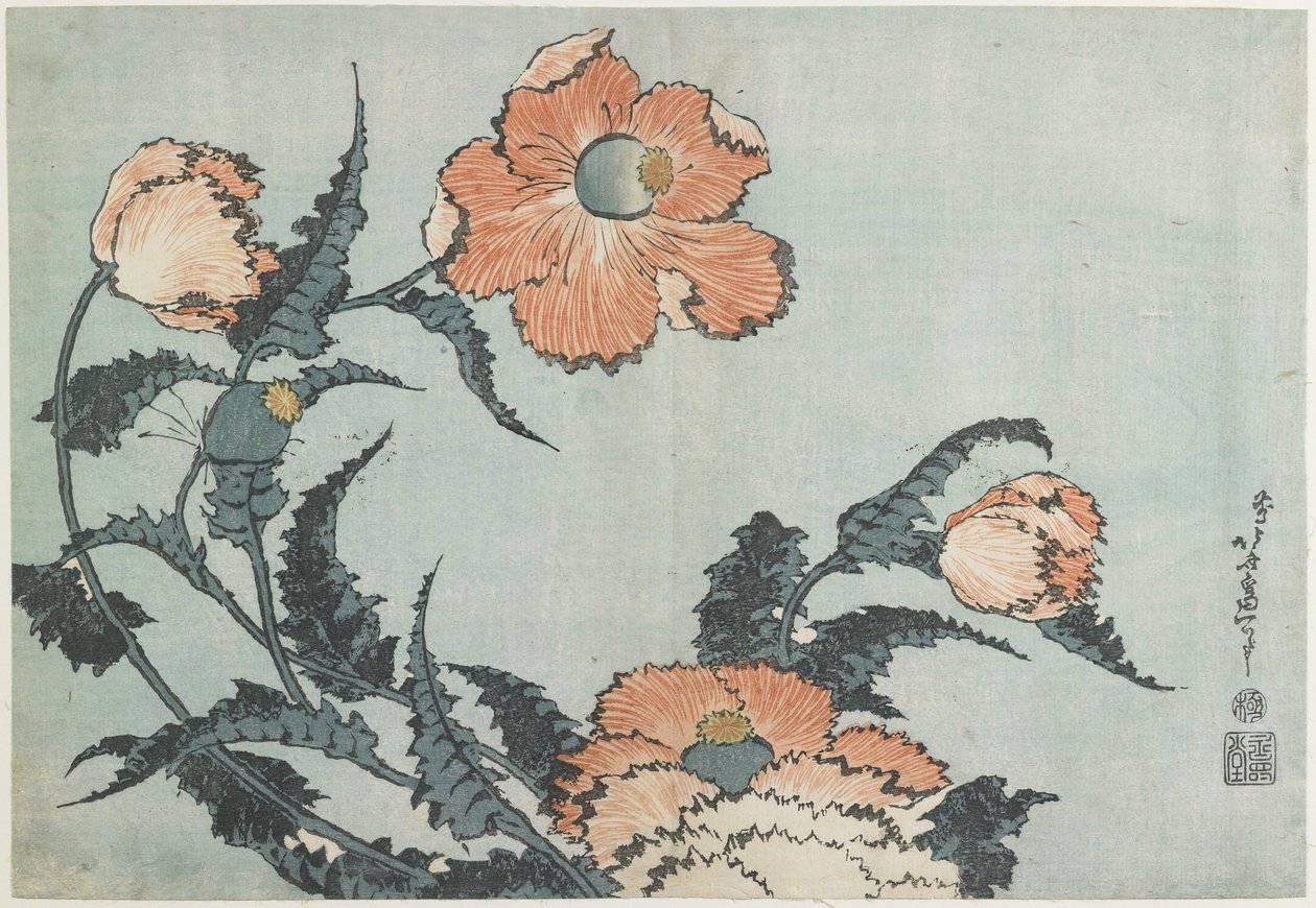 ケシ、c。 1832 作： 北斎勝鹿