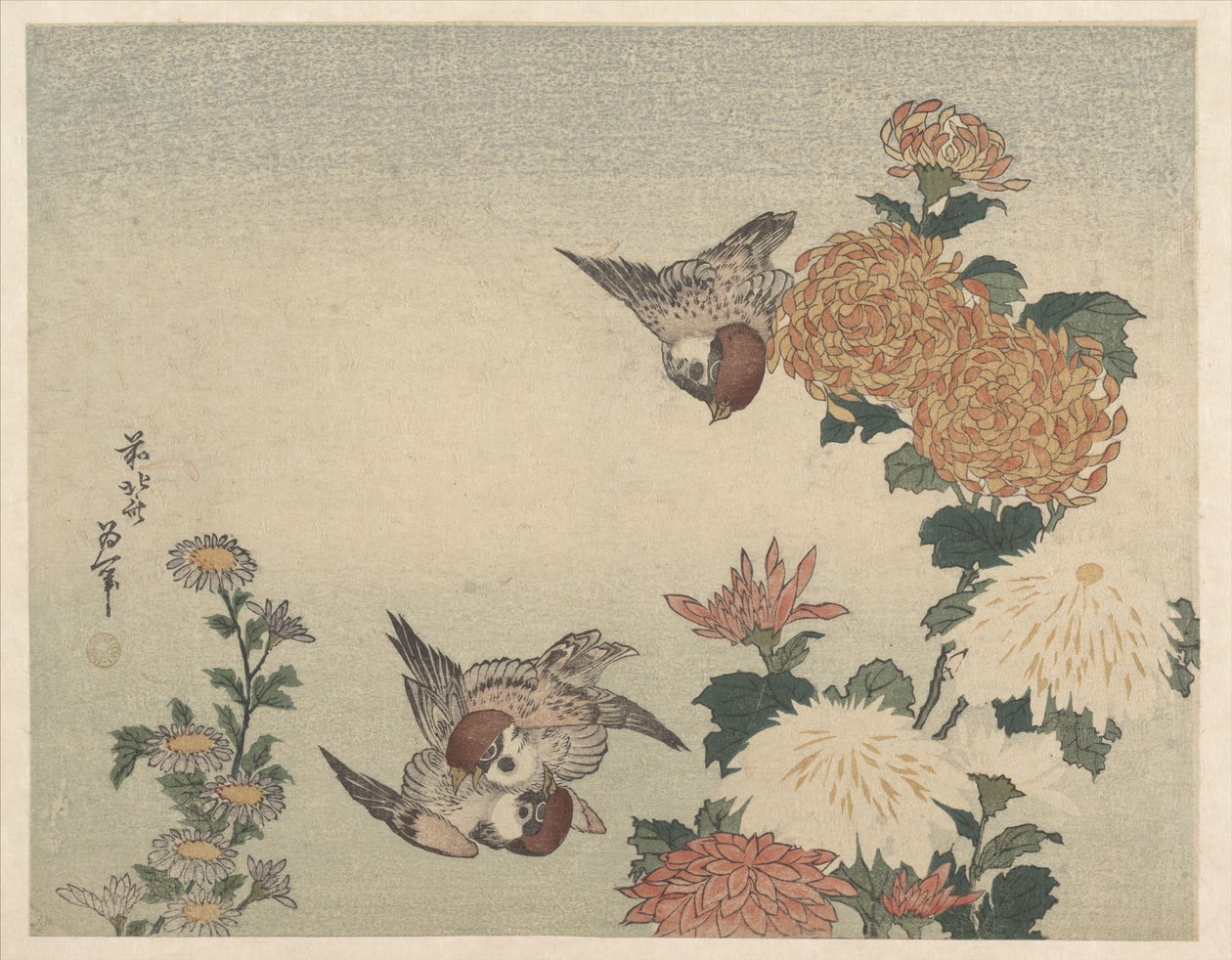 スズメと菊 作： 北斎勝鹿