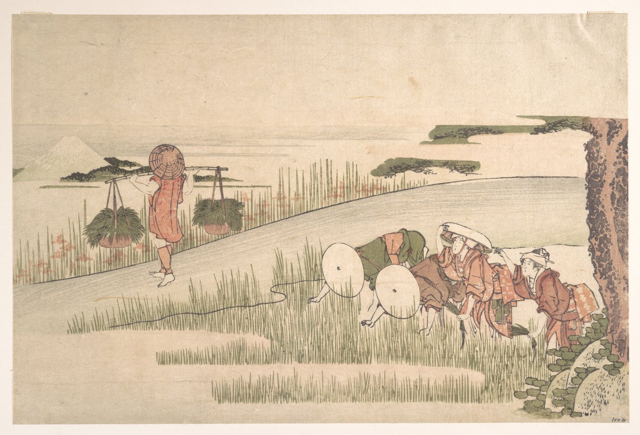 田んぼの春 作： 北斎勝鹿