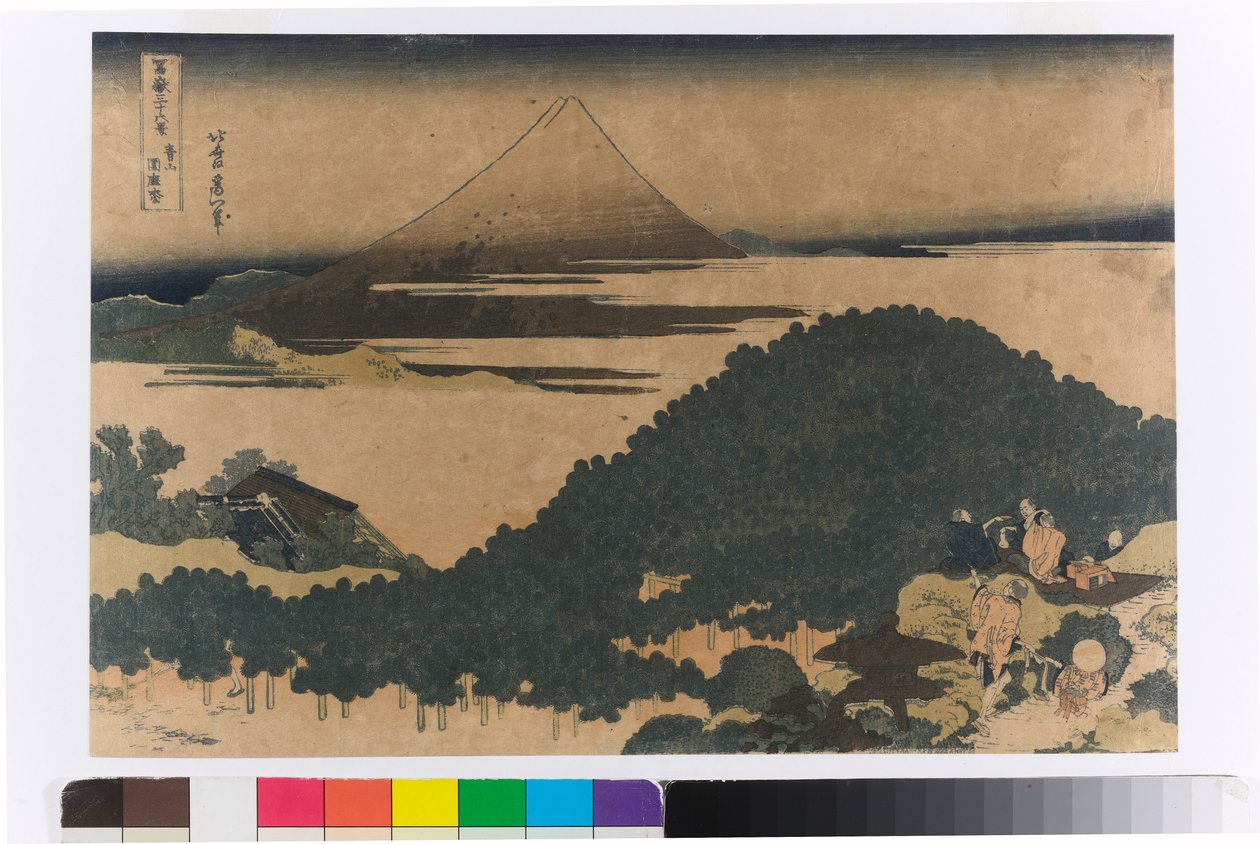 青山の公園のクッション松 作： 北斎勝鹿