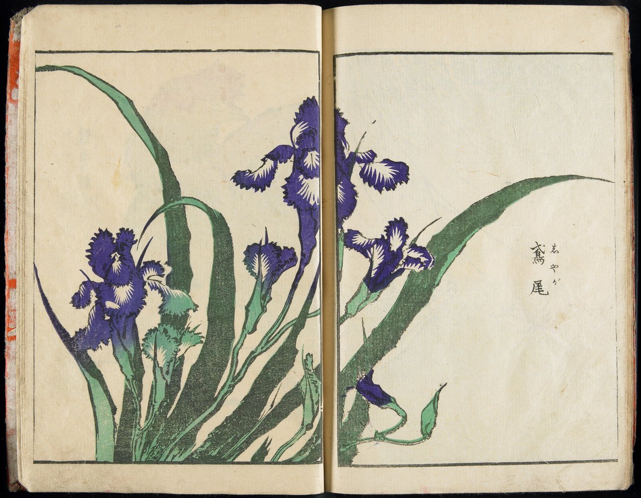 「精神を伝え、物事の姿を明らかにする：北斎の絵画の庭」第1巻 完結 作： 北斎勝鹿