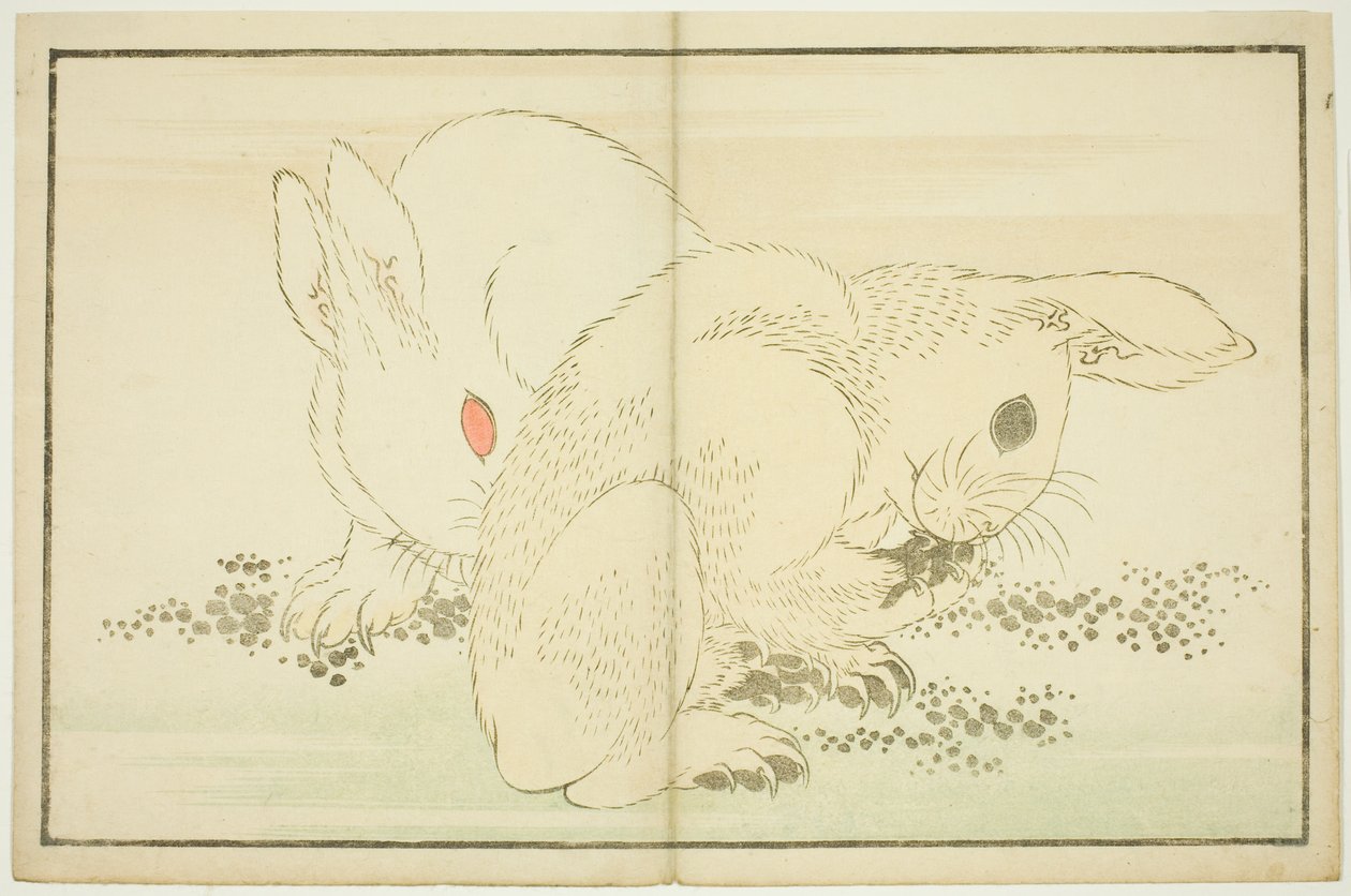 北斎写実画譜 二兎 作： 北斎勝鹿