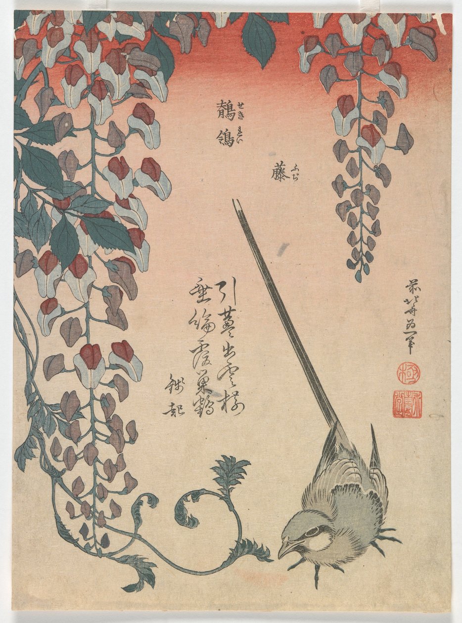 セキレイと藤、江戸時代、1834年（色木版画） 作： 北斎勝鹿