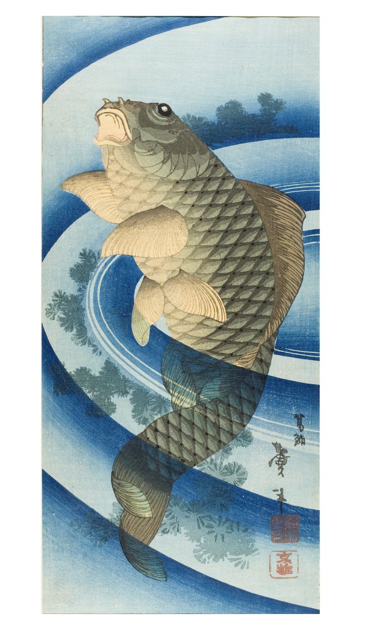 カープ 作： 葛飾II（fl。1820-50）台東