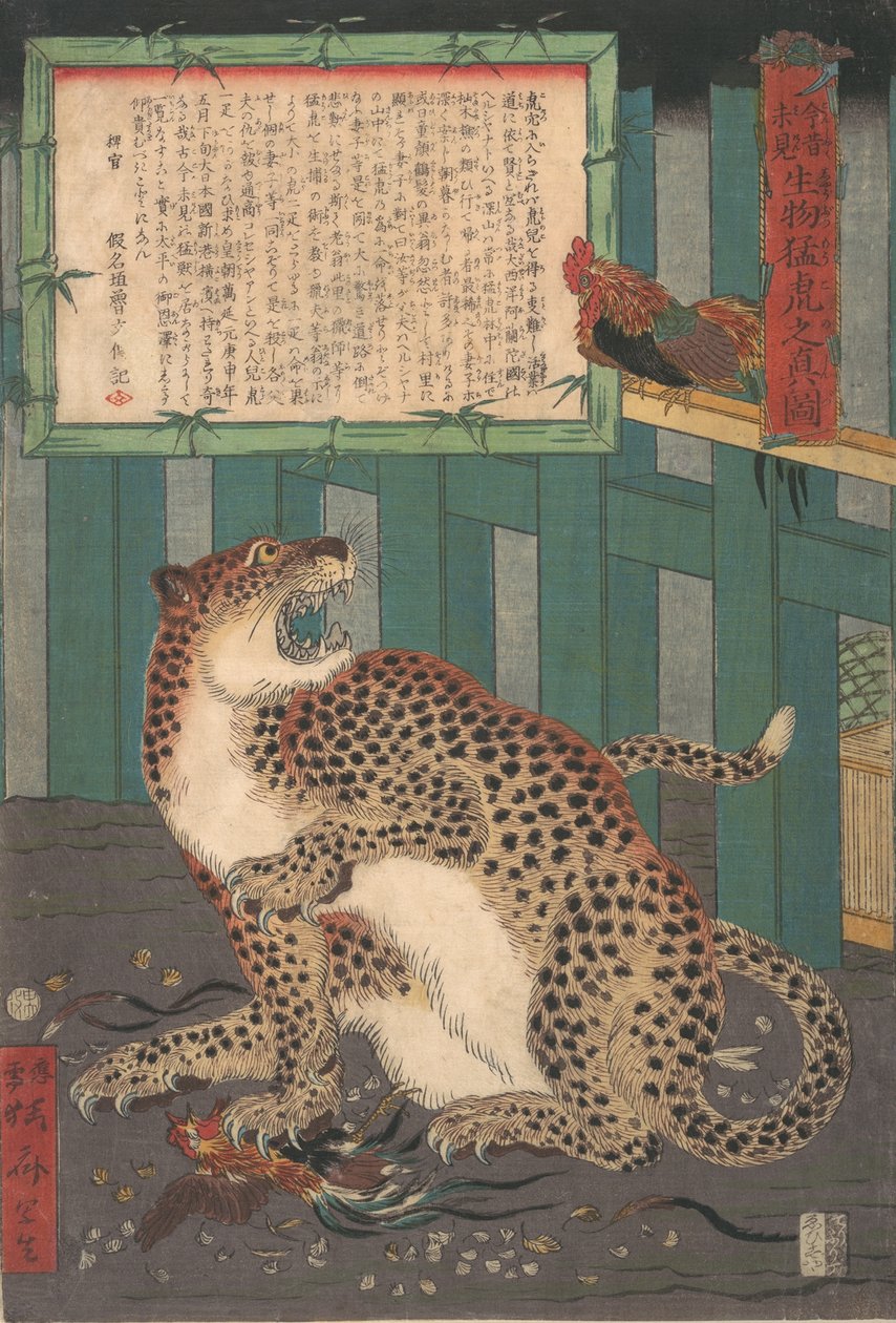 未だかつて見たことのない生きている野生の虎の実像...、1860年6月。 作： 川鍋K菜