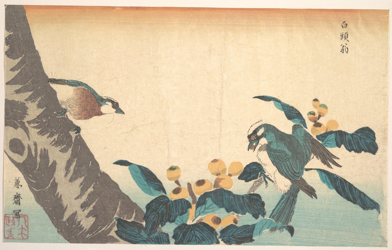 鳥と花 作： 圭西鉄