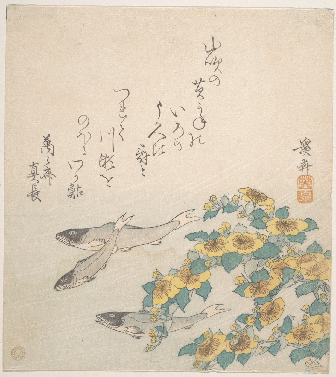 黄色い花と泳ぐ魚 作： 圭西鉄