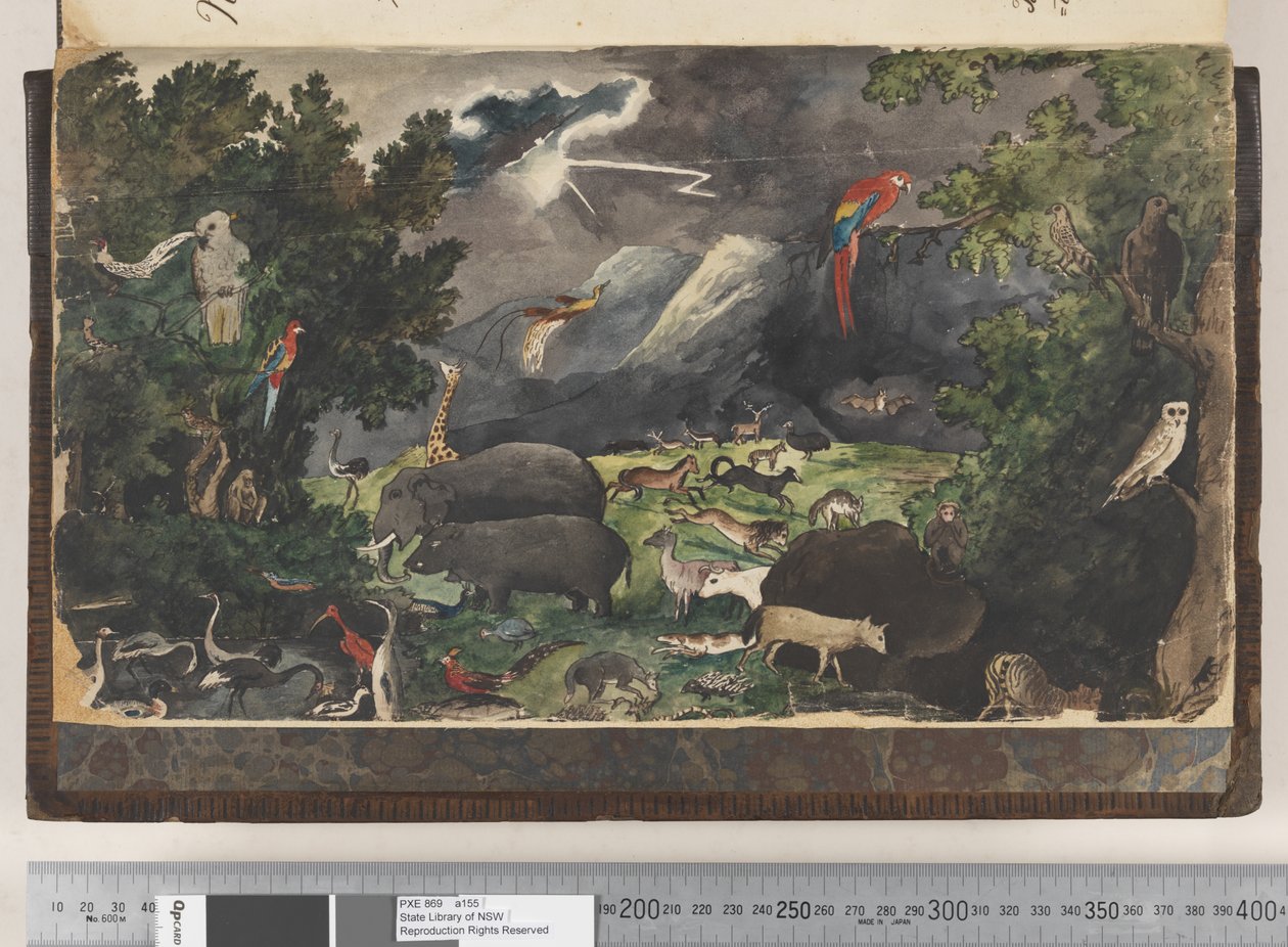 口絵: 無題、平和な王国、鳥や動物のいる風景 作： ケンネルムヘンリーディグビー