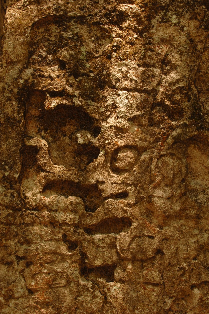 7319 オスペムル; マヤ; 古代文化; マヤ; メキシコ; マヤ生物圏保護区; イワン・スプリ..., 2004年（写真） 作： ケネス・ギャレット