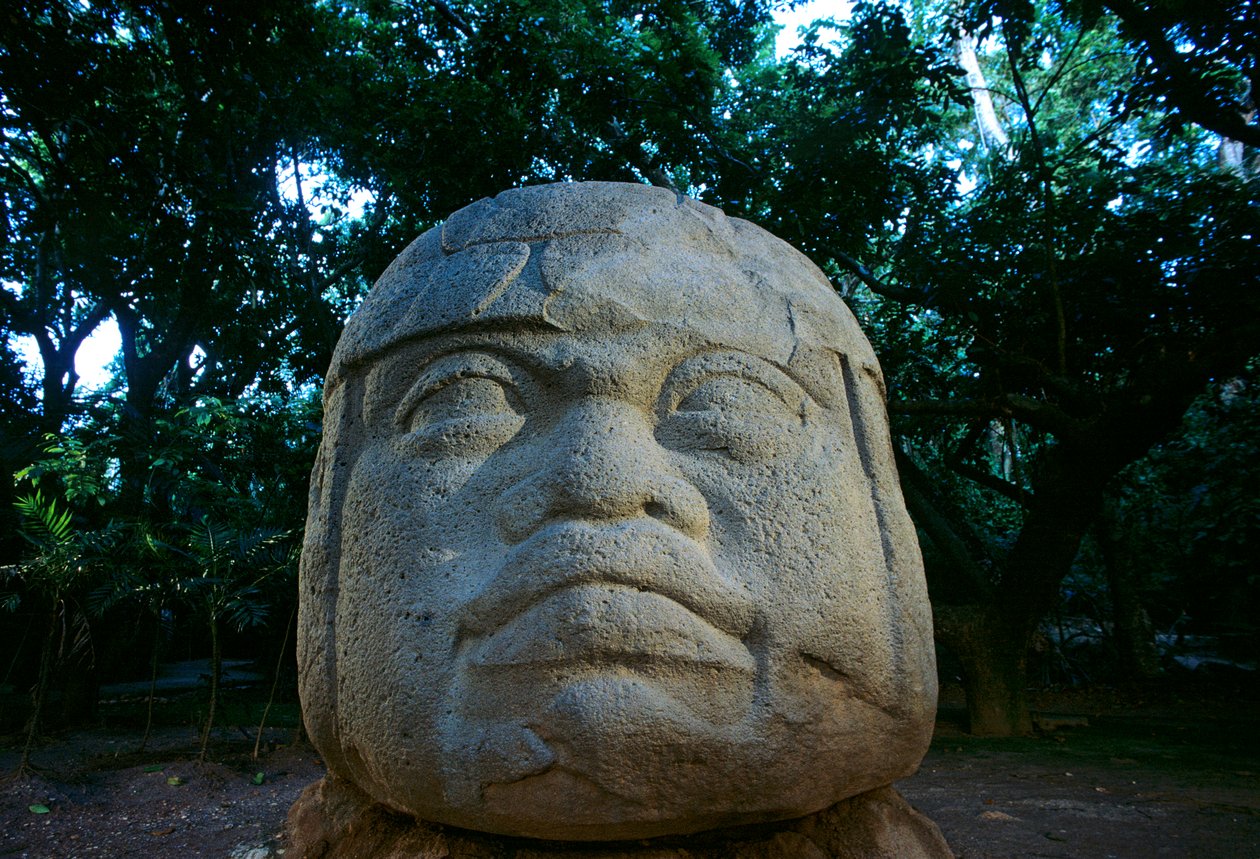 オルメカ; メキシコ; 古代文化; アメリカ大陸; 考古学; 人工物; ラ・ヴェンタ; オルメカの頭部 作： ケネス・ギャレット