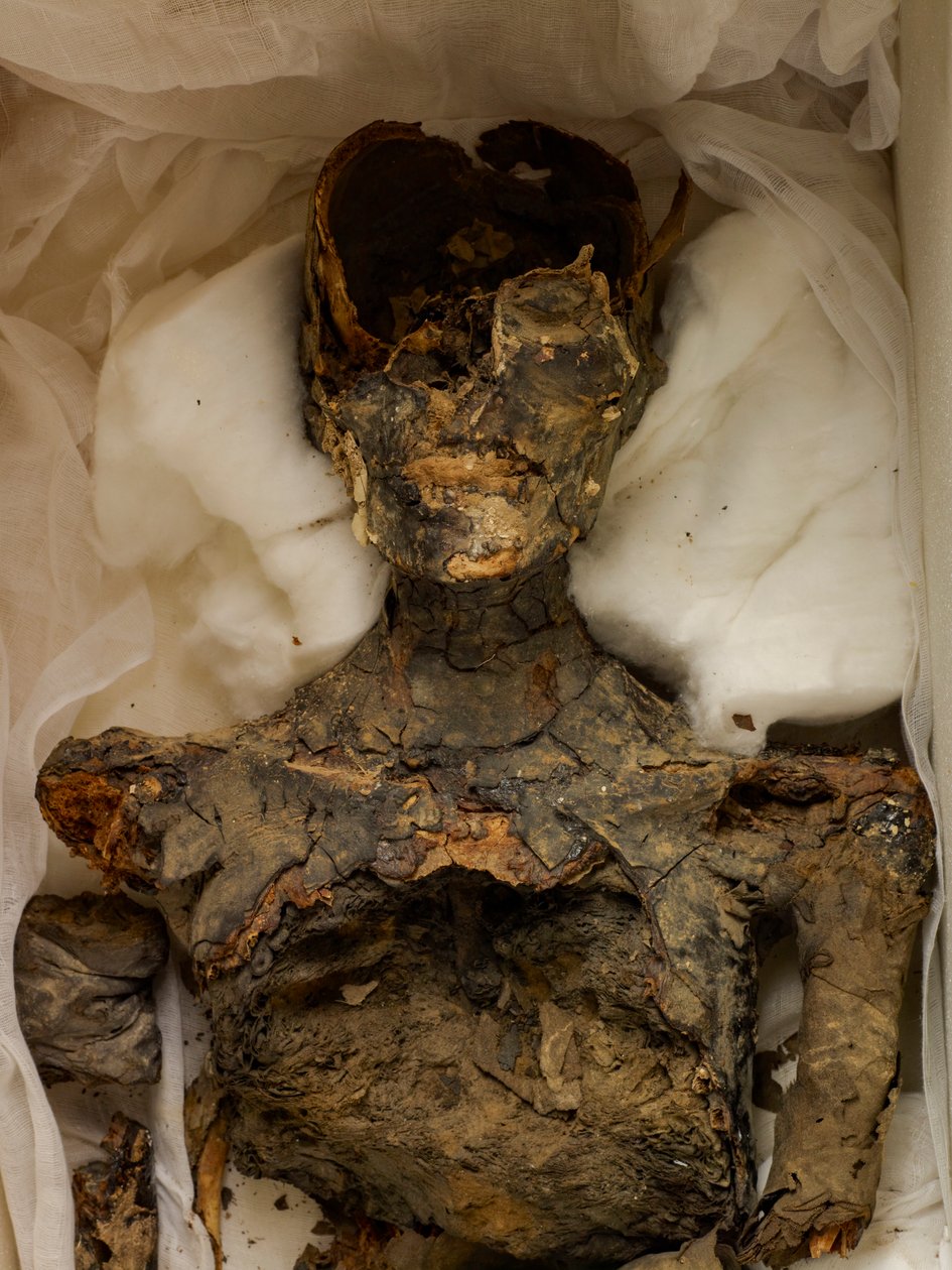 mm7864; 第18王朝; 新王国時代; エジプト; エジプト博物館; カイロ; ミイラ; 谷の... 2009年（写真） 作： ケネス・ギャレット