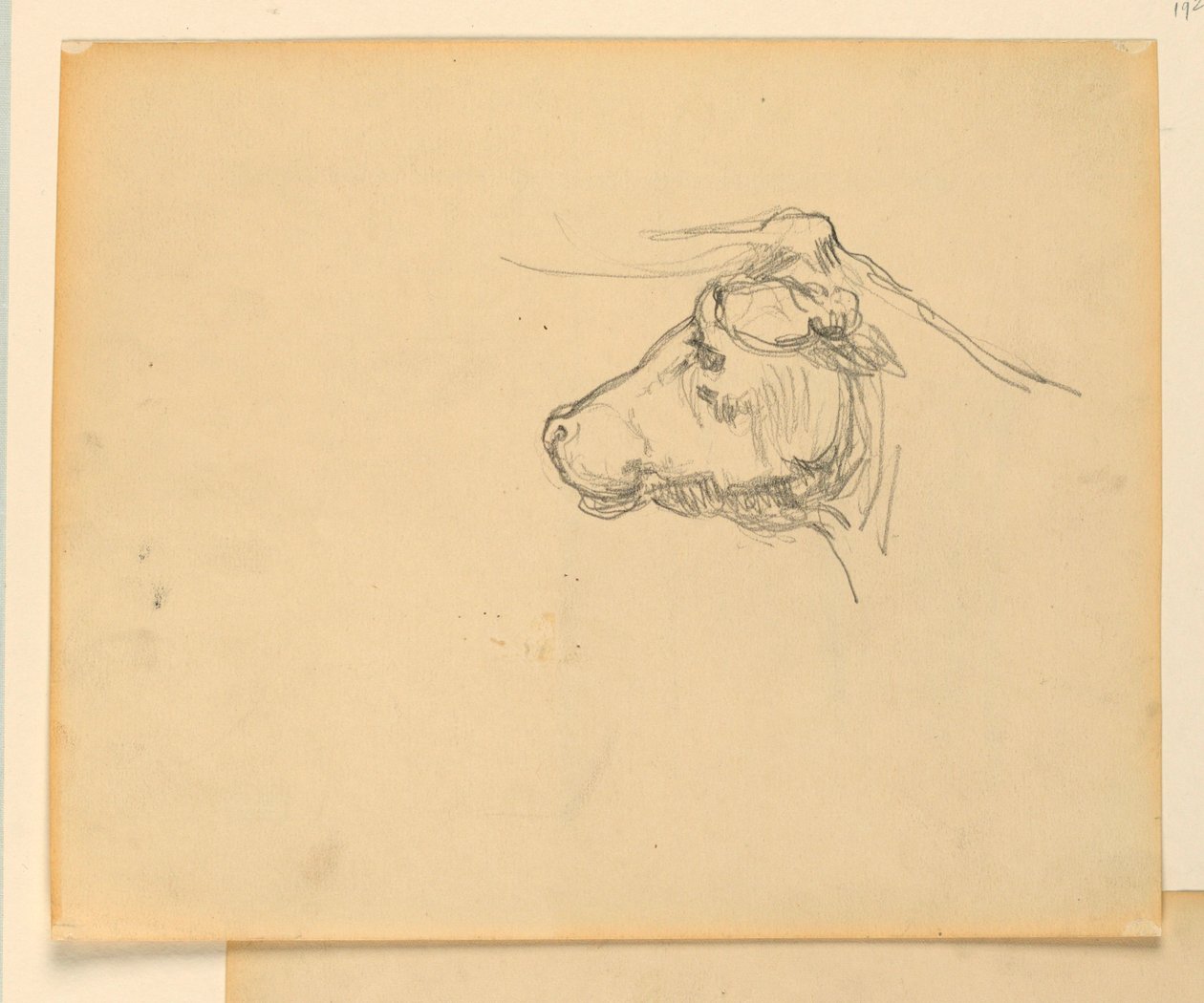 Study for "Herding", "The Progress of Civilization: Hunting, Herding, Agriculture", State Capitol, Des Moines, IA 作： ケニヨンコックス