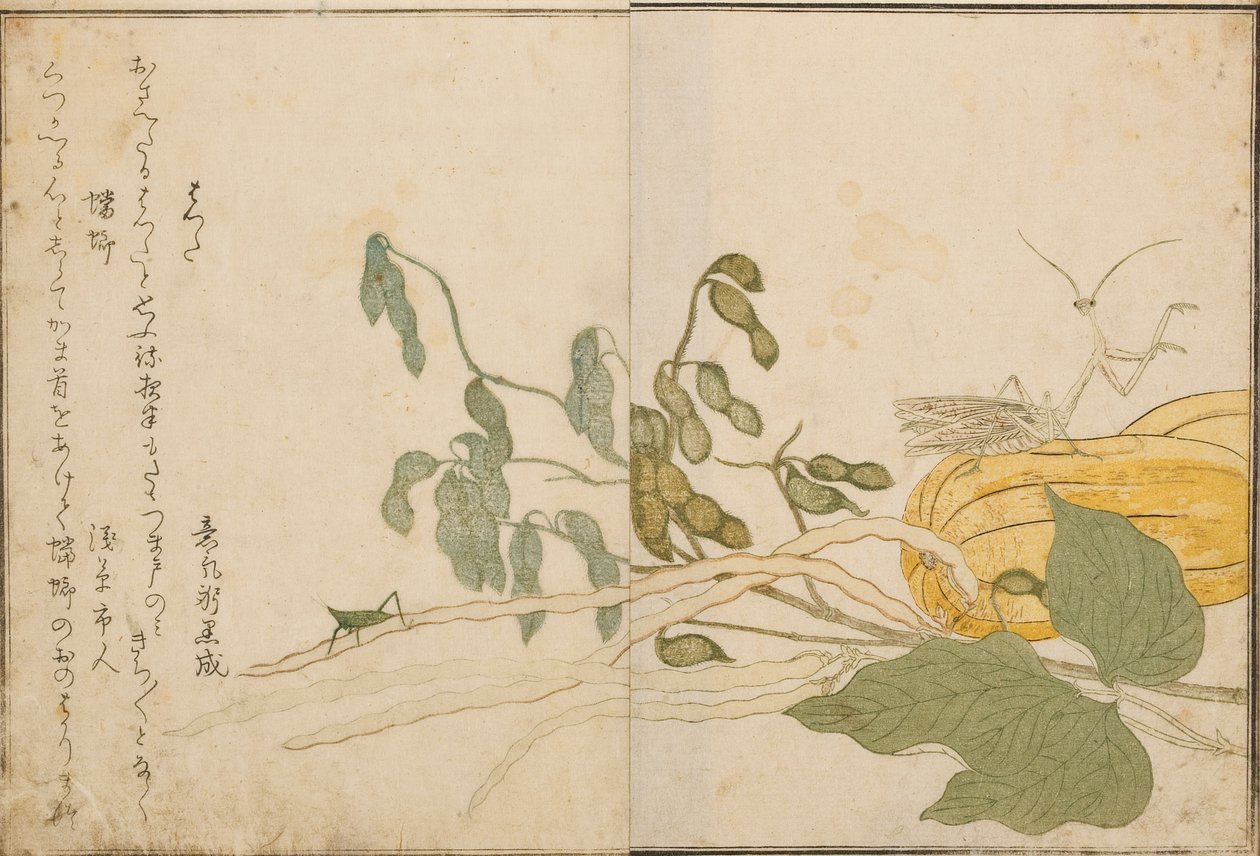 バッタとカマキリ、1788年（木版） 作： 北川歌ro