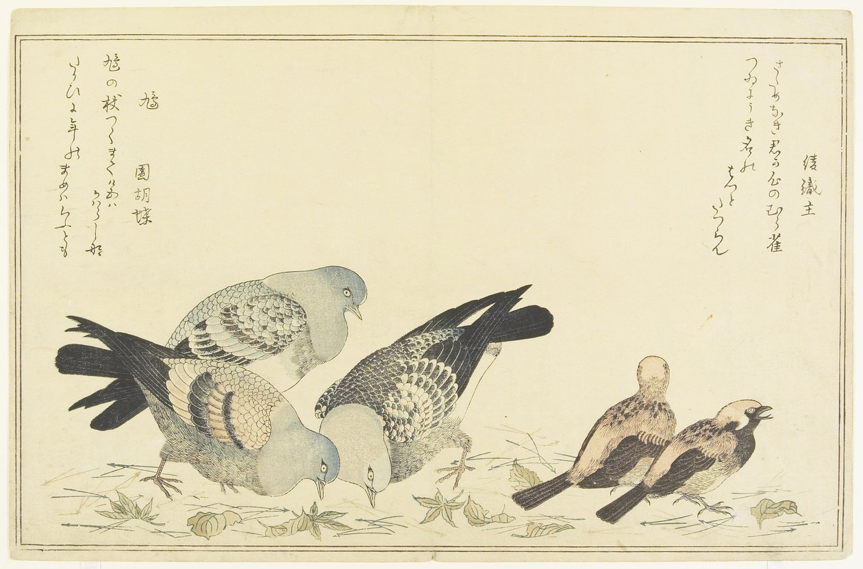 スズメとロック鳩、c。 1790 作： 北川歌ro
