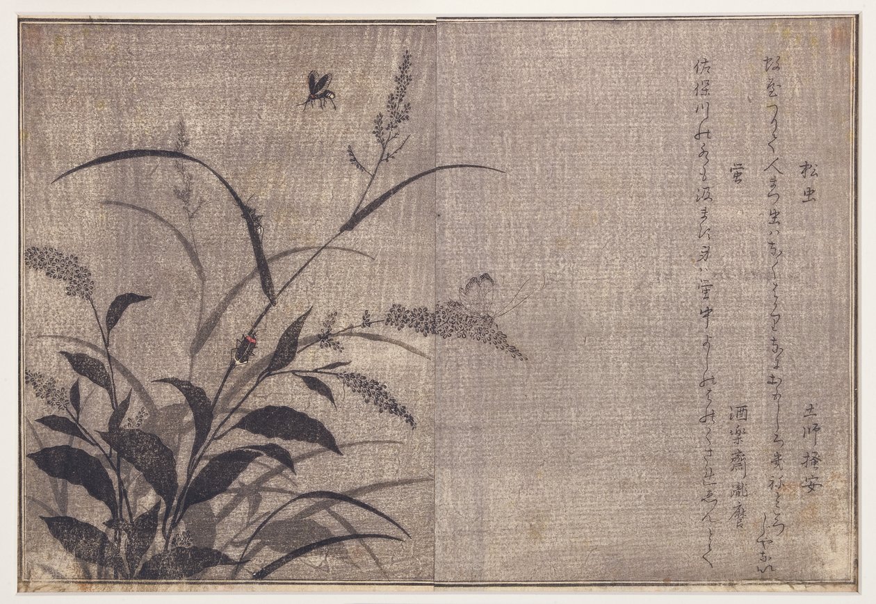 クリケットとホタル、1788（木版） 作： 北川歌ro