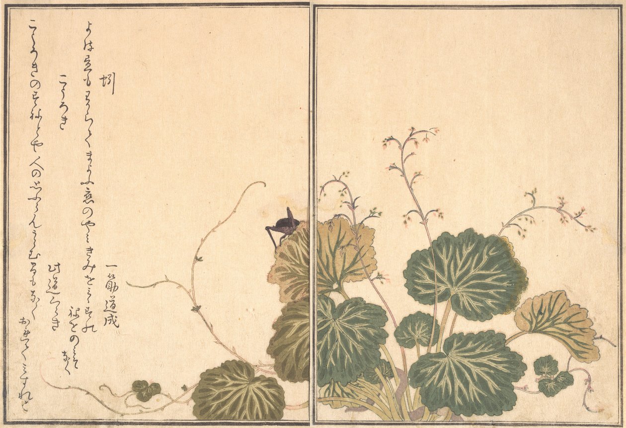 ミミズ、コオロギ...、1788年。 作： 北川歌ro