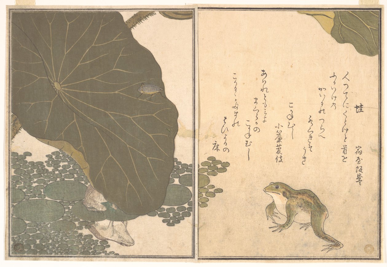 『絵本虫撰』より、蛙（カエル）、黄金虫（コガネムシ） 作： 北川歌ro