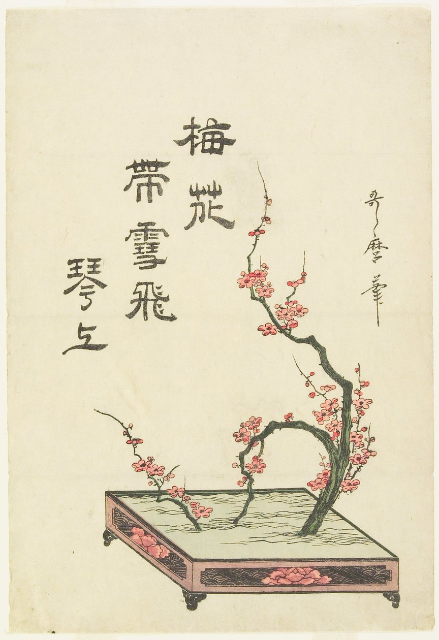 梅の枝の生け花 作： 北川歌ro