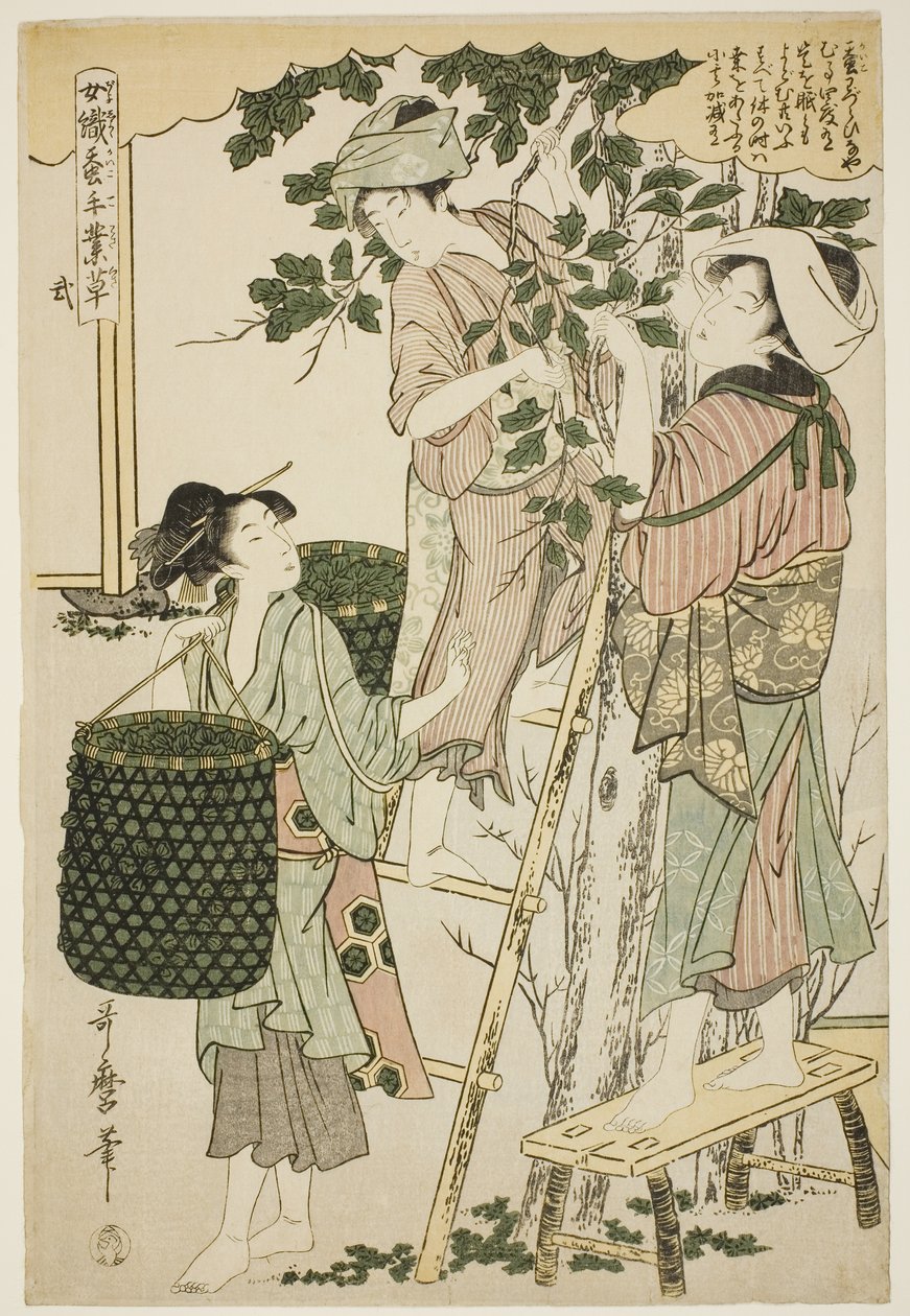 連載「養蚕手仕事草」より2号（に） 作： 北川歌ro