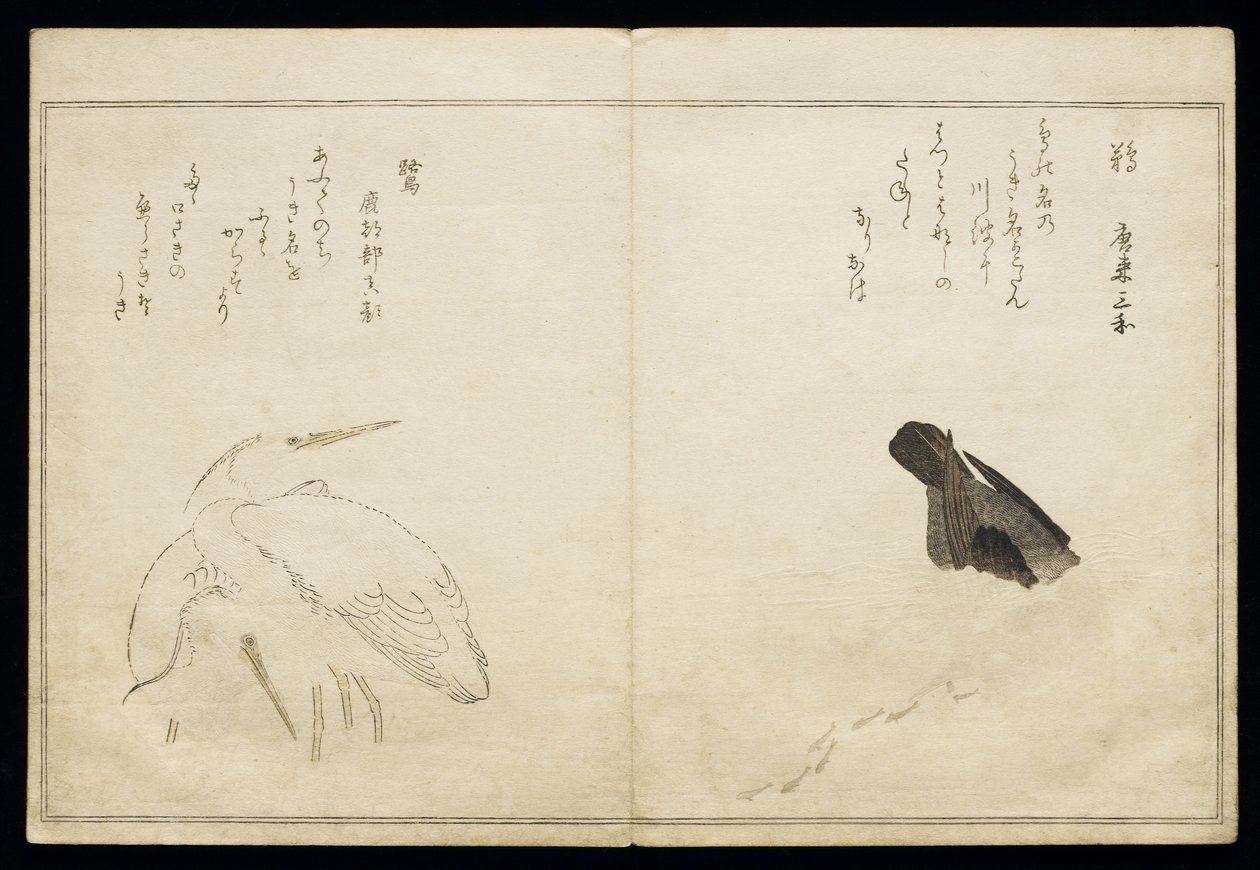 P.332-1946 Vol.1 f.4アルバム「鳥はユーモラスな歌で比較された」1791（カラーウッドブロックプリント）の右側の鵜と左側の2つのサギ 作： 北川歌ro