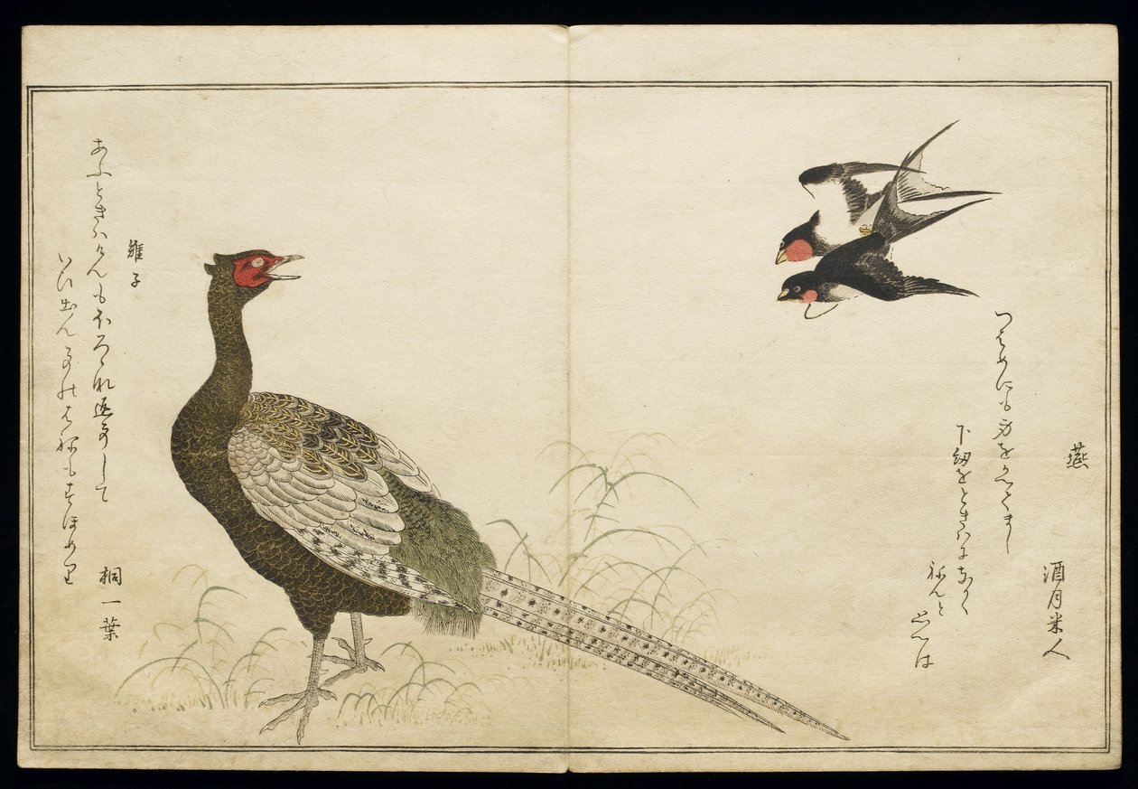 P.332-1946 Vol.1 f.6チムニースワローズとグリーンフェザントのペア。 作： 北川歌ro