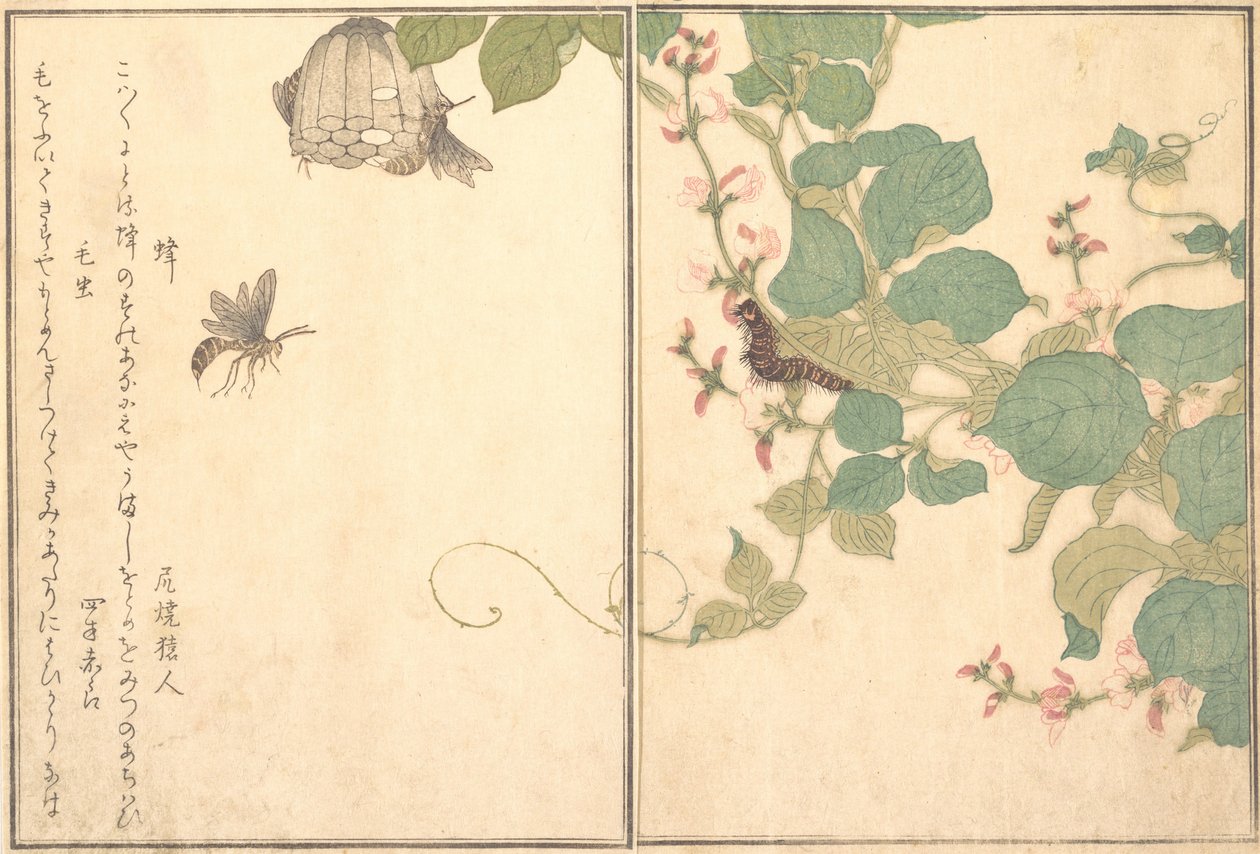 スズメバチのハチ、毛虫のケムシ...、1788年。 作： 北川歌ro